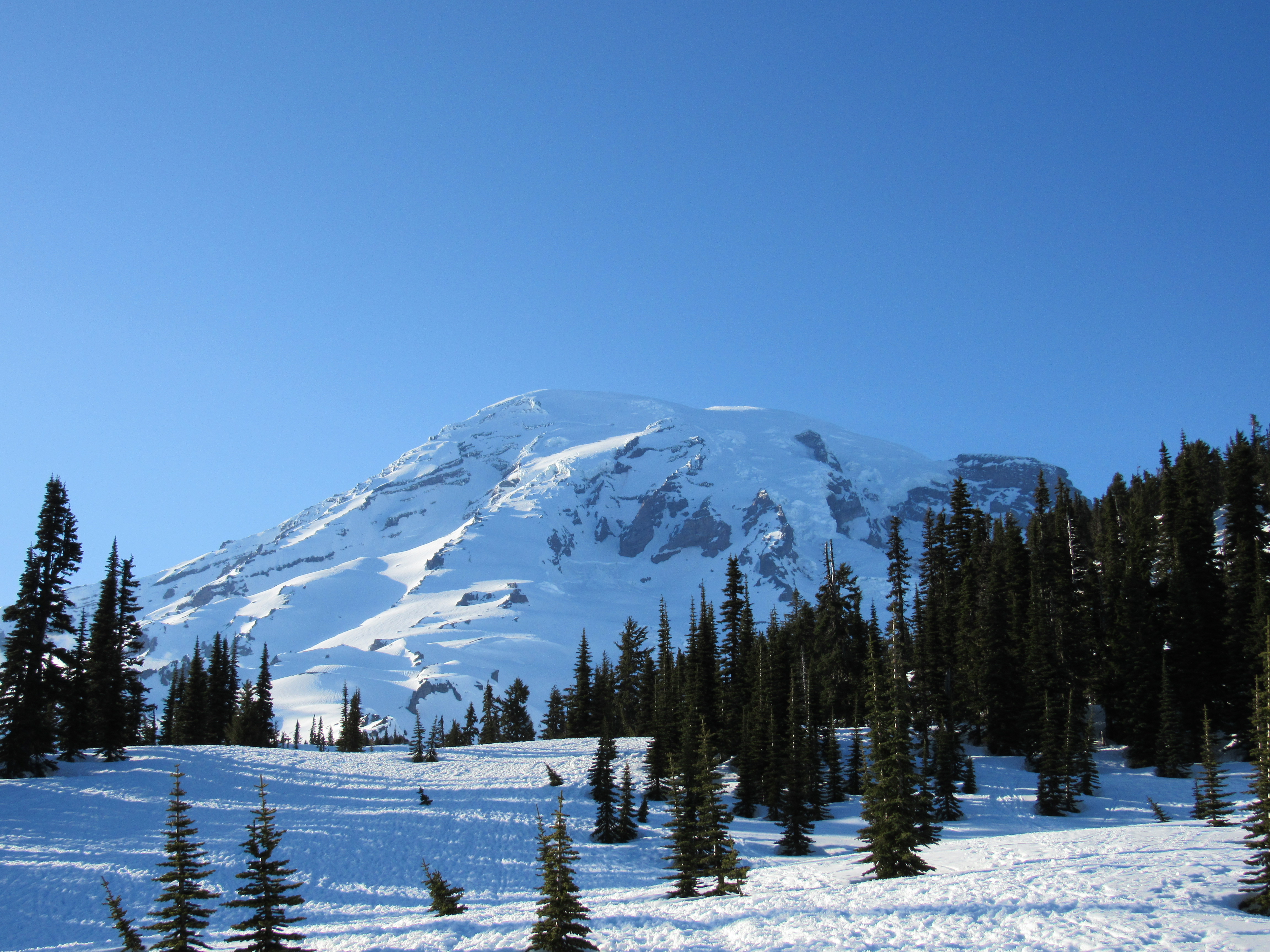 One of the Best National Park -Mount Rainier National Park